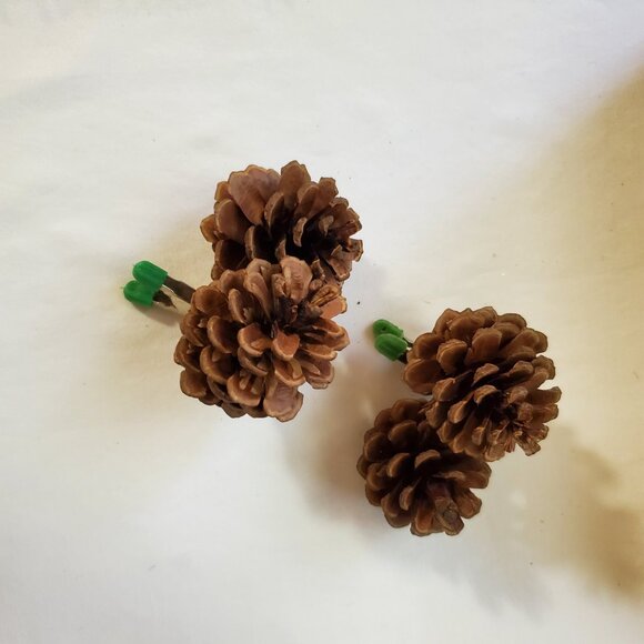 Natural Unscented Wooded Pinecone Clip Ornaments – Holiday Décor – Set of (2) - Picture 6 of 6